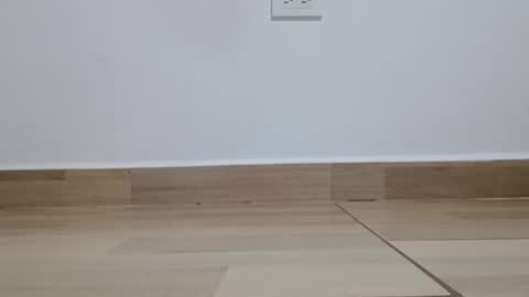 Annie online show from November 19, 6:08 pm