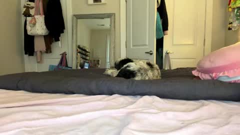 Susannah online show from April 26, 1:31 pm