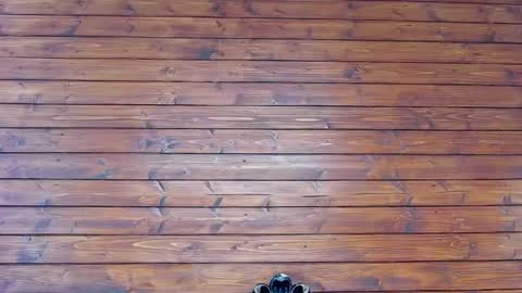 Suzanne online show from April 24, 12:30 pm