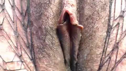 Suzy online show from April 26, 7:22 pm