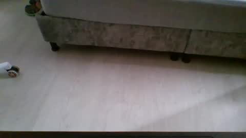 Nicol online show from February 16, 5:13 pm