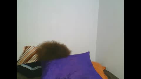 Snapshot of sweetafricangal chatting on February 25, 4:46 pm NASHA online show from February 25, 4:46 pm