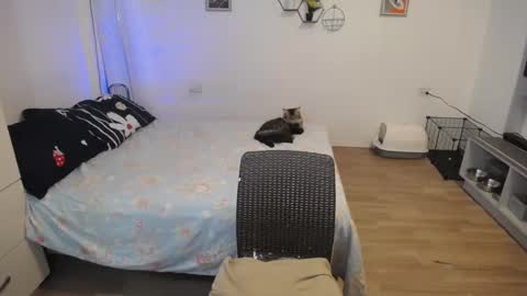 angel 3 online show from December 23, 12:19 pm