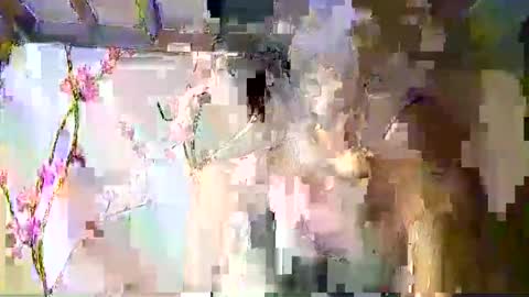 Snapshot of sweetdimple69 chatting on September 9, 2:06 pm sweetdimple69 online show from September 9, 2:06 pm