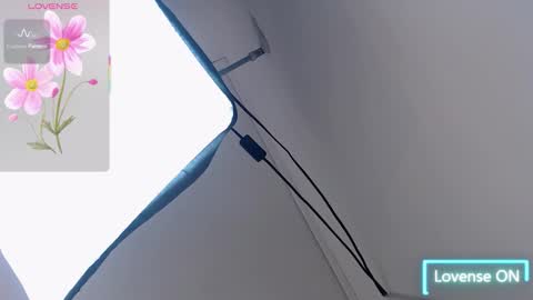 Tammy Lynn online show from November 13, 5:45 pm