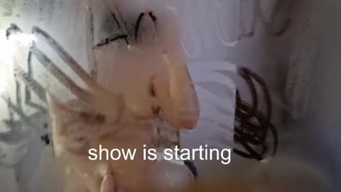 Anna online show from April 30, 12:49 am