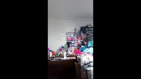 thedchannel online show from February 4, 2:03 am