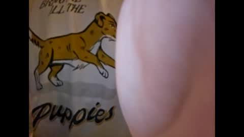 ThisIsFuckingFun online show from March 4, 7:19 am