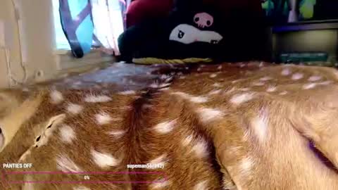 throttlekitten online show from July 8, 11:29 pm