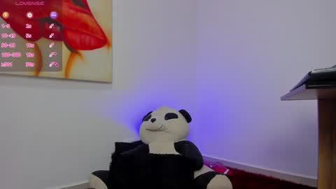Snapshot of tiago_hannah chatting on December 20, 12:19 am carolina online show from December 20, 12:19 am