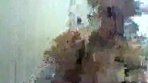 Snapshot of ttrnynela chatting on January 16, 6:46 am Ttrnynela online show from January 16, 6:46 am