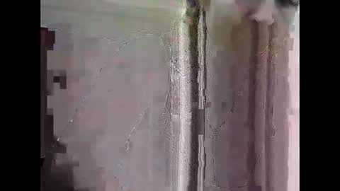 Ttrnynela online show from April 14, 8:25 am