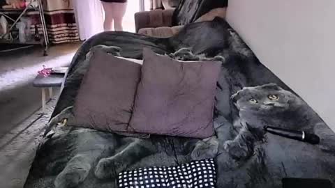 Lana online show from April 15, 8:37 am