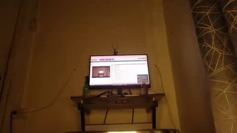 Sham online show from April 26, 4:05 pm