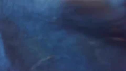 Aniie online show from April 22, 1:30 pm