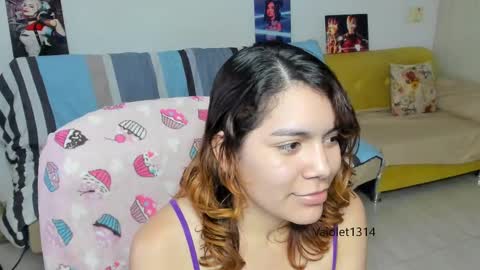 Snapshot of vaioletuwu chatting on March 2, 2:30 am Vaiolet1314 online show from March 2, 2:30 am