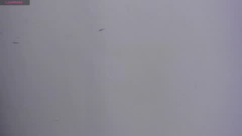 Snapshot of valka_ross chatting on October 13, 11:18 pm VALKA ROSS online show from October 13, 11:18 pm
