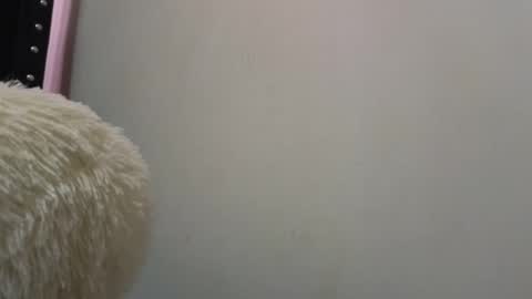 Snapshot of vel_zola chatting on December 17, 7:29 am zola online show from December 17, 7:29 am