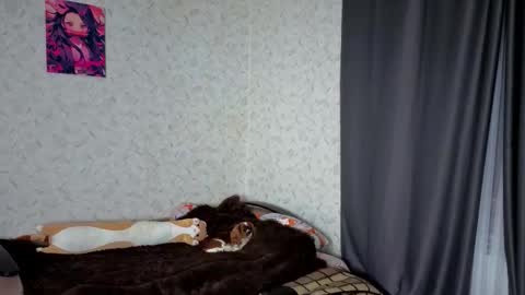 Veronica online show from March 4, 9:10 pm