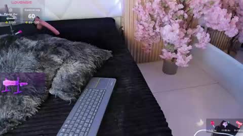 veronica_hill_ online show from April 28, 3:10 am