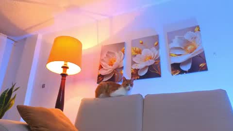 VIOLET  online show from July 23, 1:29 am