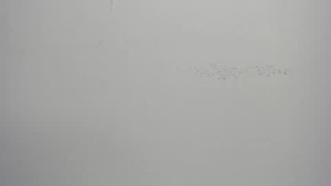 Snapshot of violett_24_ chatting on March 1, 11:39 am violett_24_ online show from March 1, 11:39 am