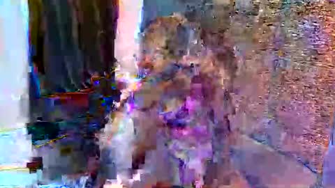 Ashley online show from May 30, 6:44 am