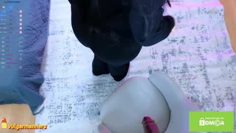 Ada online show from October 8, 8:40 am