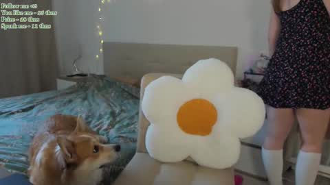 Tess  Pls support me with  Can we reach 155 my favorite number online show from February 11, 9:53 am