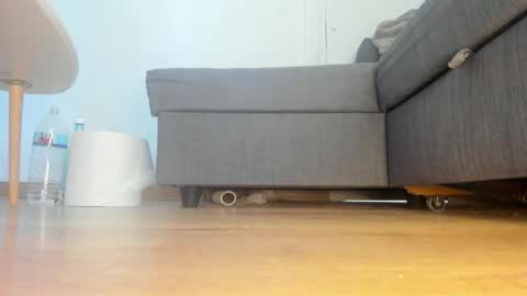 wet_pants2022 online show from April 25, 1:41 pm