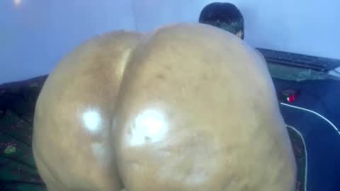 wilmaassylum online show from October 21, 8:29 am