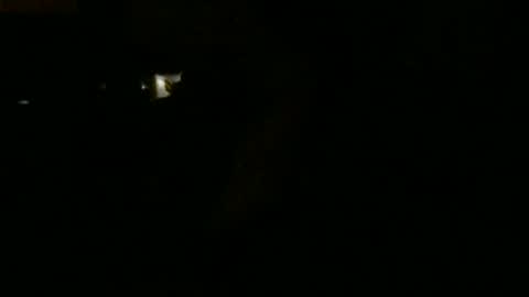 yesdaddygirl online show from January 18, 10:22 am