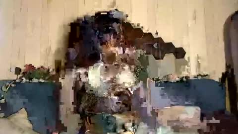 Lilly online show from January 25, 9:04 am