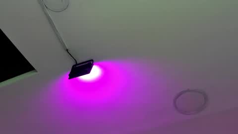 zia online show from October 6, 12:00 pm