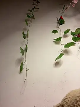 M192003 online show from March 19, 8:40 am