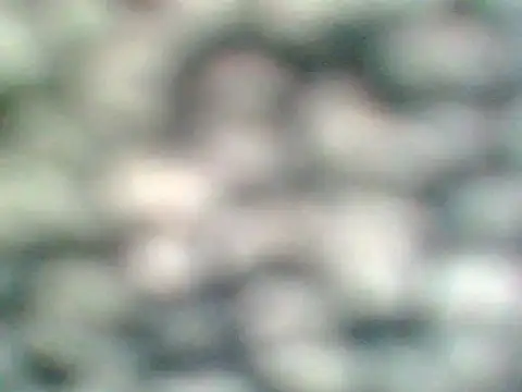 Helennahot online show from April 21, 6:37 pm