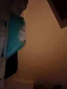 Snapshot of bruna_safadinhaa chatting on October 17, 6:22 pm bruna safadinhaa online show from October 17, 6:22 pm