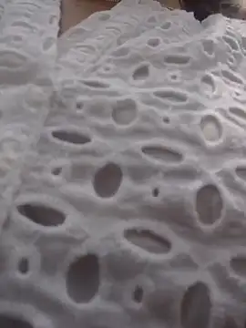 scarlett moore online show from April 25, 4:37 pm