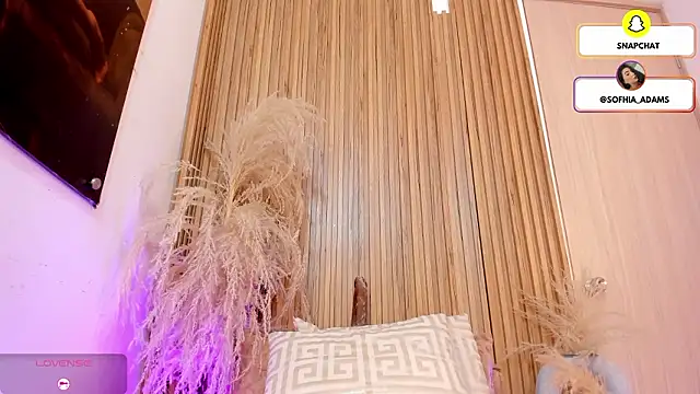 sofhiaa adaams online show from February 15, 5:12 pm