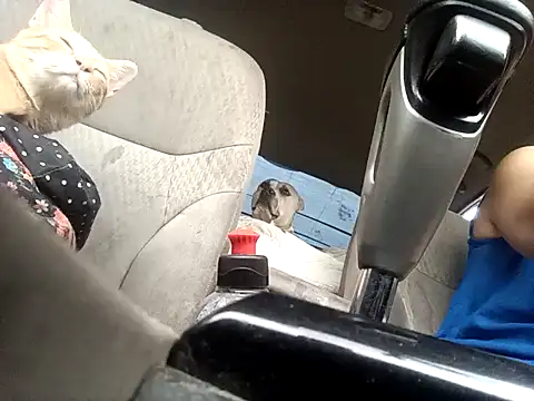 SexyB214 online show from April 25, 4:26 pm