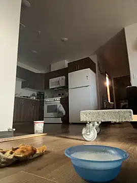 SexyB214 online show from October 5, 12:04 am