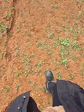 SexyErola27 online show from November 30, 11:14 am