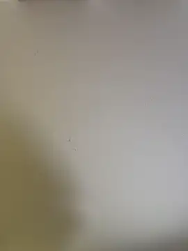 selenne schmitt online show from April 26, 12:30 am