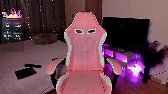 Jane Paws online show from November 29, 2:48 am