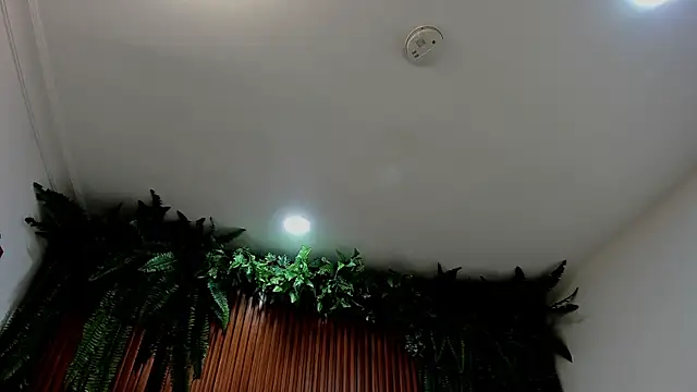 alice greco online show from March 6, 7:09 pm