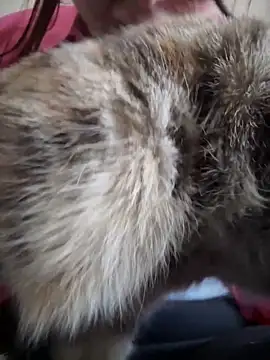 NikaMur online show from October 19, 2:46 am