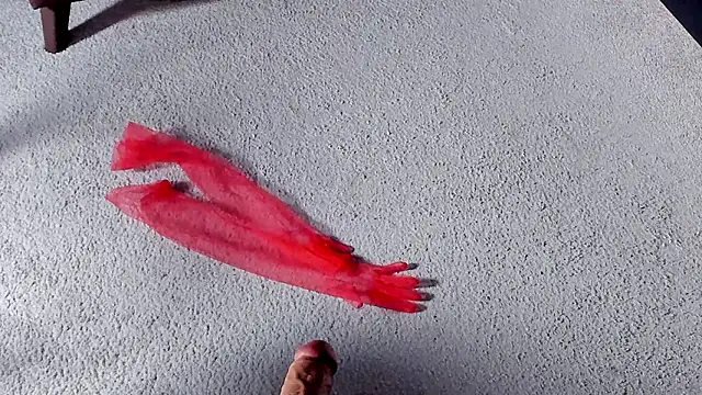 Dorothy Meyer online show from March 27, 8:26 am