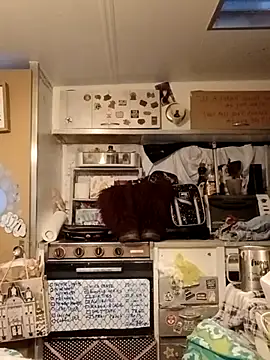 whitetrashdirtyslut online show from March 18, 1:16 pm