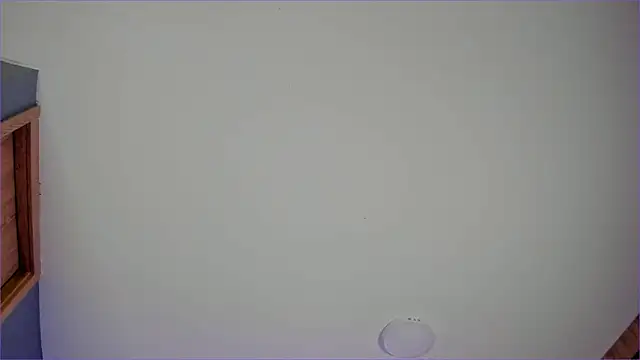 Bambi gurl online show from July 4, 4:30 am
