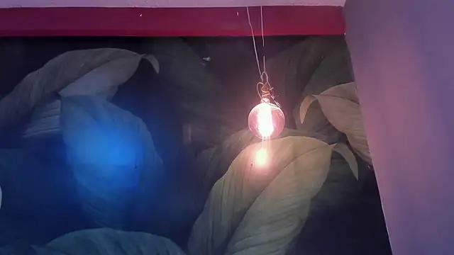 sweett dirty online show from November 9, 3:30 pm